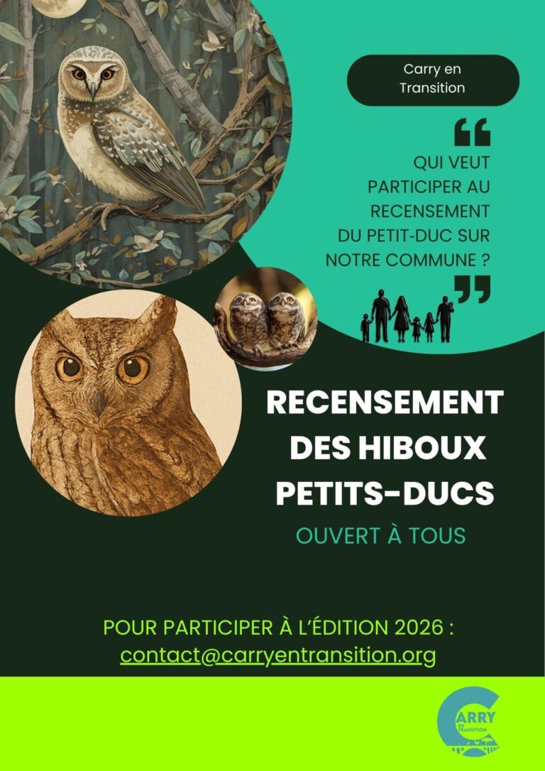 Atelier Recensement Petits ducs