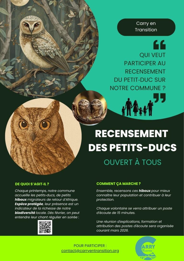Flyer Atelier Recensement Petits ducs