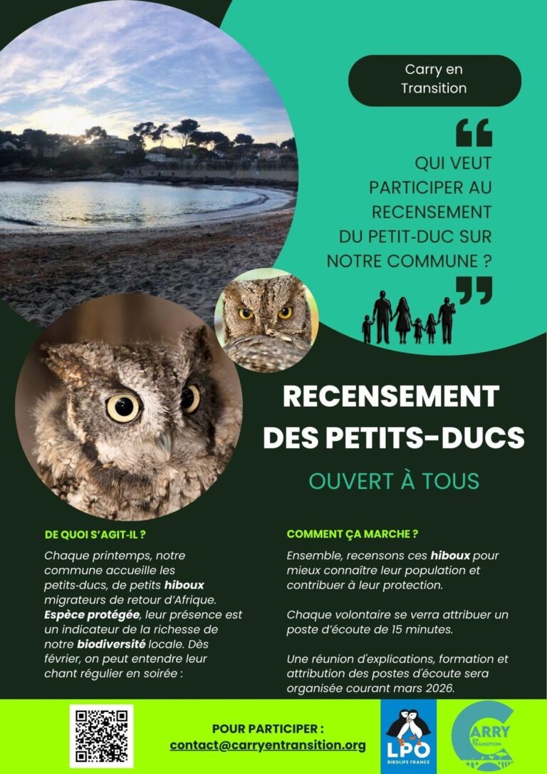 Flyer Atelier Recensement Petits ducs