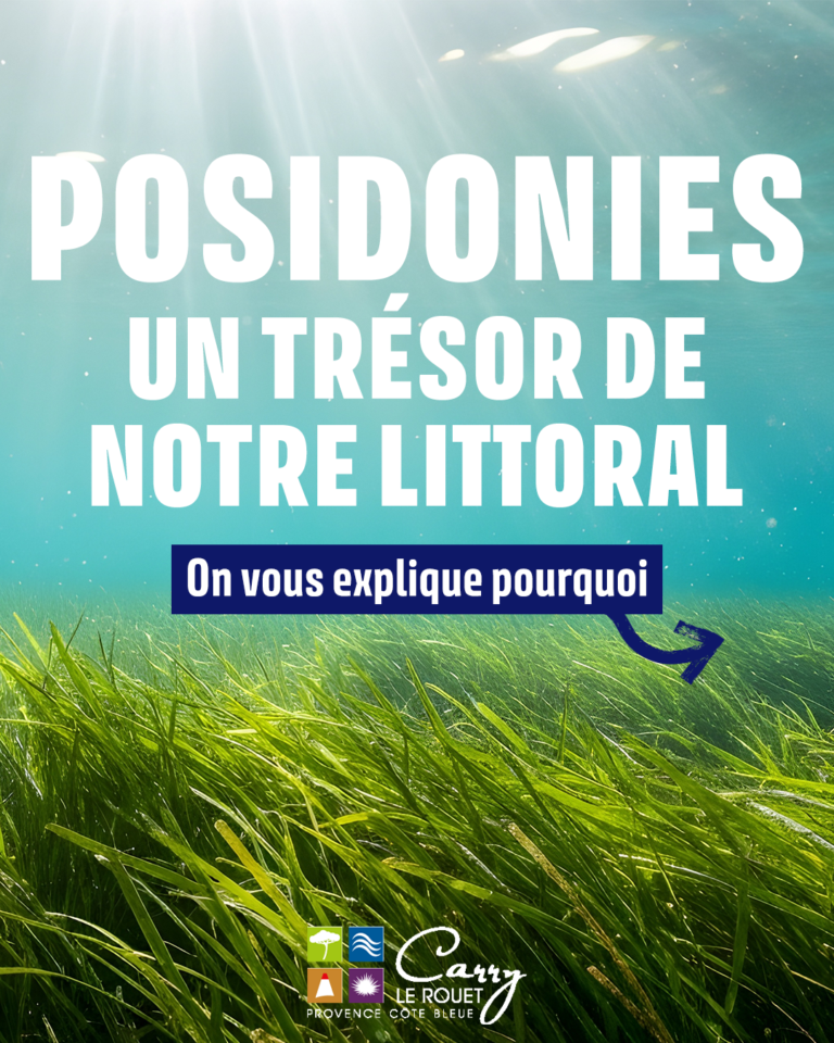 Plan de travail 1