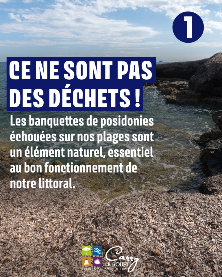 Plan de travail 2