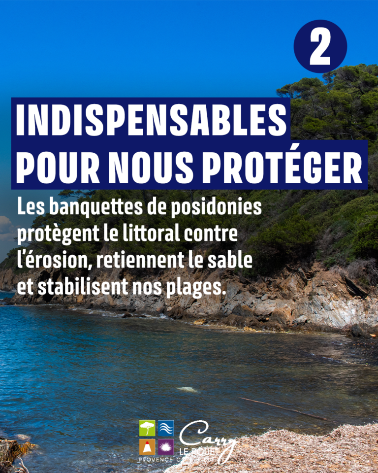 Plan de travail 3
