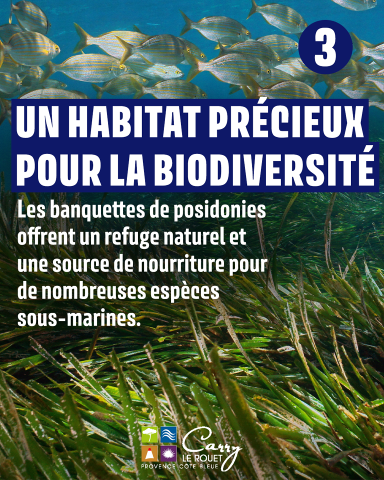 Plan de travail 4