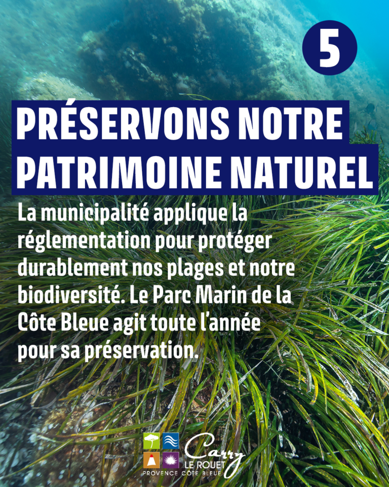 Plan de travail 6