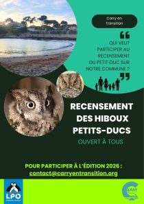 Atelier Recensement Petits ducs